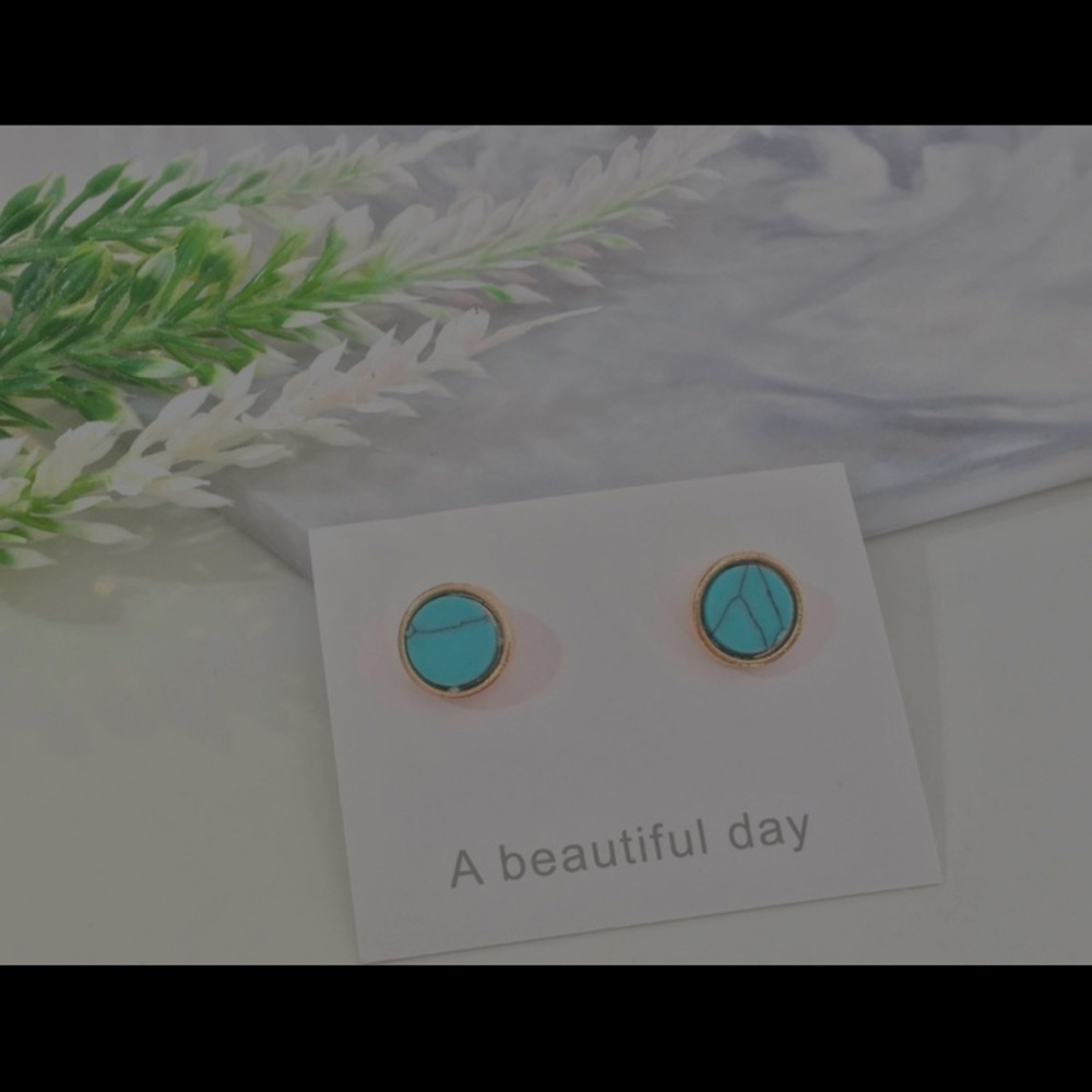 Faux turquoise earrings